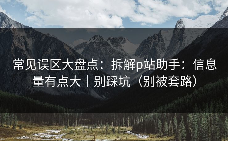常见误区大盘点：拆解p站助手：信息量有点大｜别踩坑（别被套路）