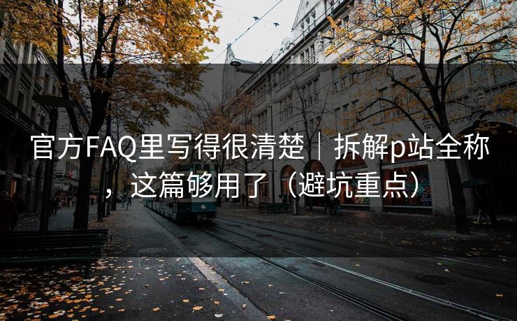 官方FAQ里写得很清楚｜拆解p站全称，这篇够用了（避坑重点）