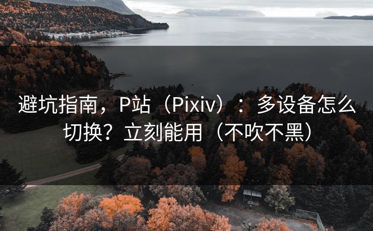避坑指南，P站（Pixiv）：多设备怎么切换？立刻能用（不吹不黑）
