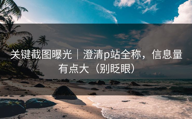 关键截图曝光｜澄清p站全称，信息量有点大（别眨眼）