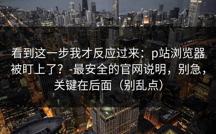 看到这一步我才反应过来：p站浏览器被盯上了？-最安全的官网说明，别急，关键在后面（别乱点）