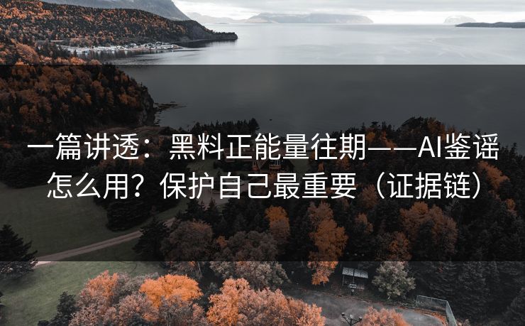 一篇讲透：黑料正能量往期——AI鉴谣怎么用？保护自己最重要（证据链）
