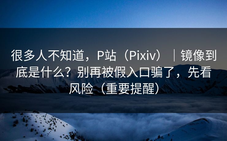 很多人不知道，P站（Pixiv）｜镜像到底是什么？别再被假入口骗了，先看风险（重要提醒）