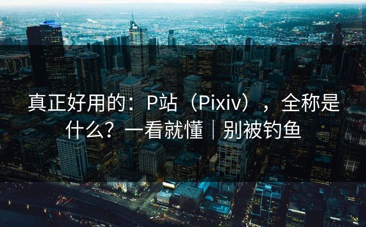 真正好用的：P站（Pixiv），全称是什么？一看就懂｜别被钓鱼
