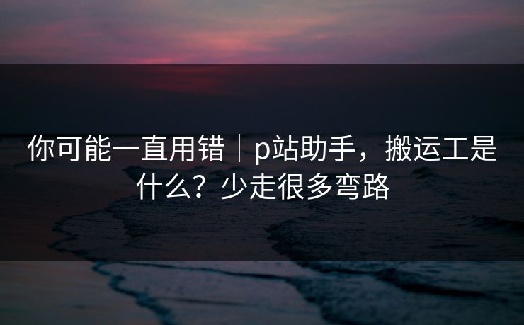 你可能一直用错｜p站助手，搬运工是什么？少走很多弯路
