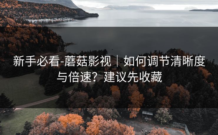 新手必看-蘑菇影视｜如何调节清晰度与倍速？建议先收藏