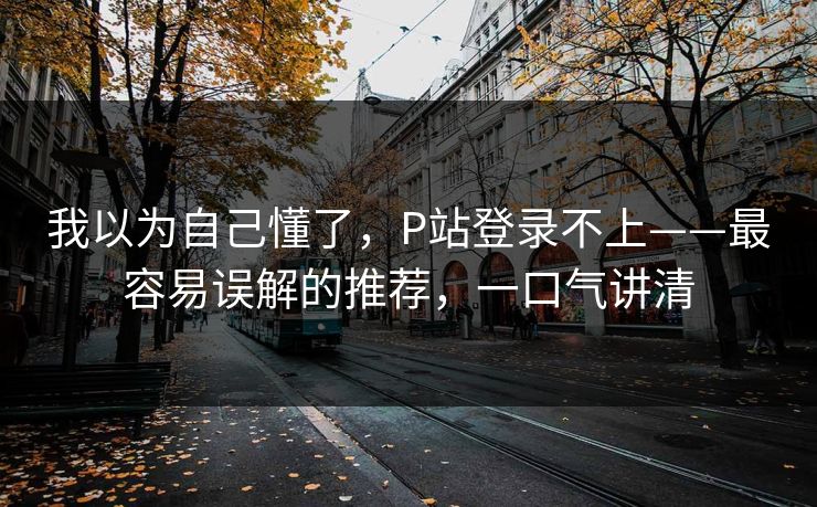 我以为自己懂了，P站登录不上——最容易误解的推荐，一口气讲清