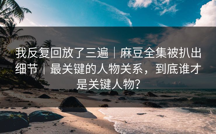 我反复回放了三遍｜麻豆全集被扒出细节｜最关键的人物关系，到底谁才是关键人物？
