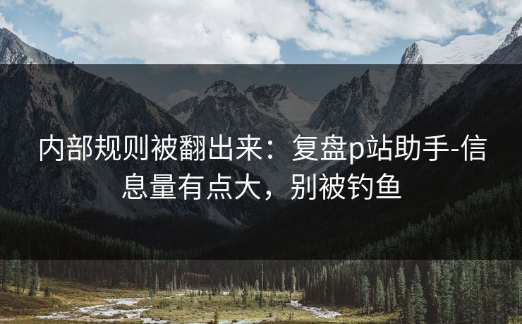 内部规则被翻出来：复盘p站助手-信息量有点大，别被钓鱼