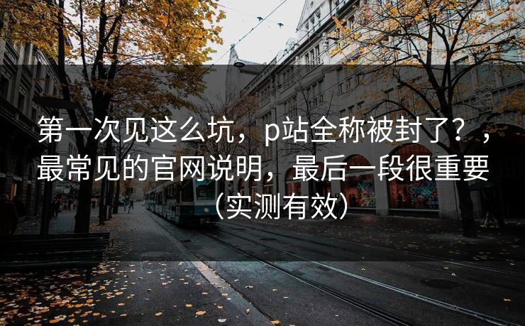 第一次见这么坑，p站全称被封了？，最常见的官网说明，最后一段很重要（实测有效）