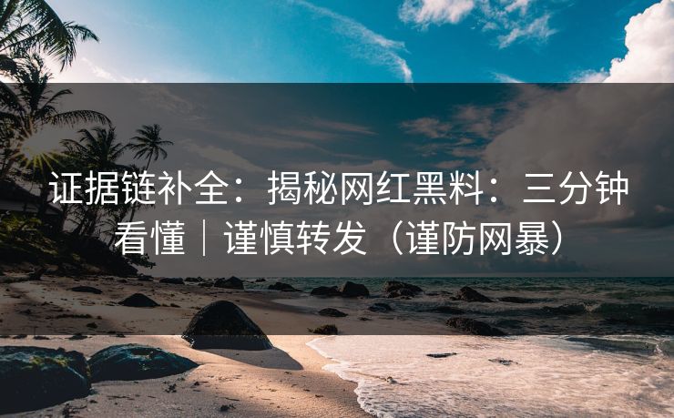 证据链补全：揭秘网红黑料：三分钟看懂｜谨慎转发（谨防网暴）
