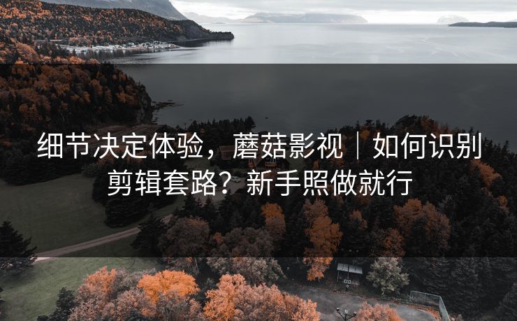 细节决定体验，蘑菇影视｜如何识别剪辑套路？新手照做就行