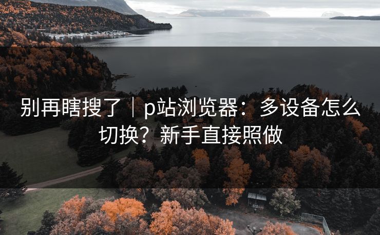 别再瞎搜了｜p站浏览器：多设备怎么切换？新手直接照做