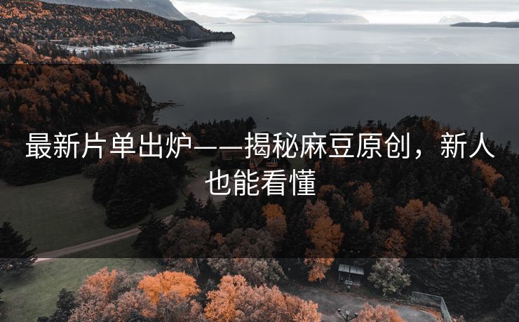 最新片单出炉——揭秘麻豆原创，新人也能看懂