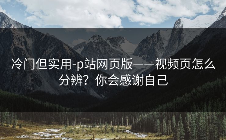 冷门但实用-p站网页版——视频页怎么分辨？你会感谢自己