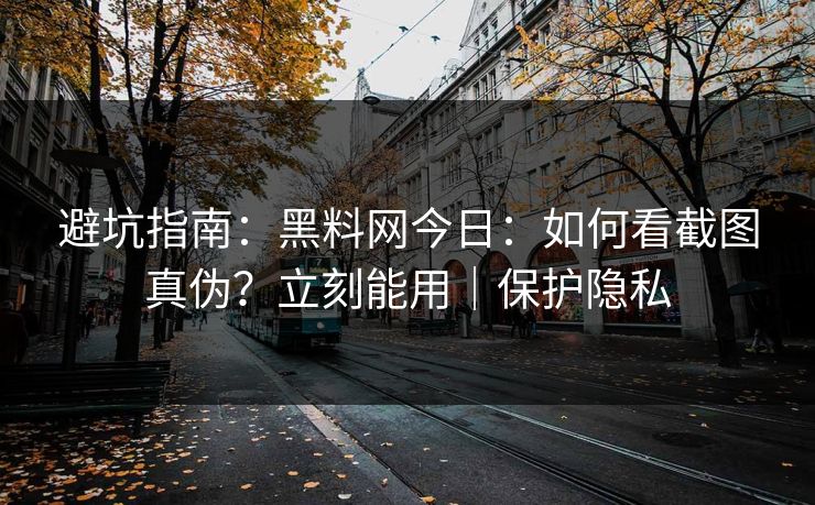 避坑指南：黑料网今日：如何看截图真伪？立刻能用｜保护隐私