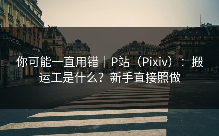你可能一直用错｜P站（Pixiv）：搬运工是什么？新手直接照做